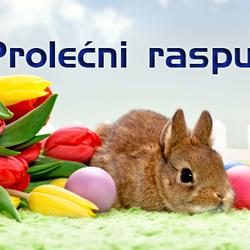 Prolecni raspust