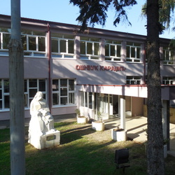 Osvukkaradzic2