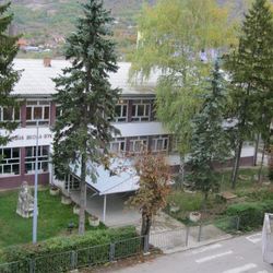 Osnovna skola vuk karadžic zvecan