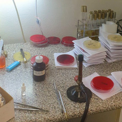 Laboratorija 3